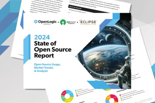 2024 State of Open Source Report
